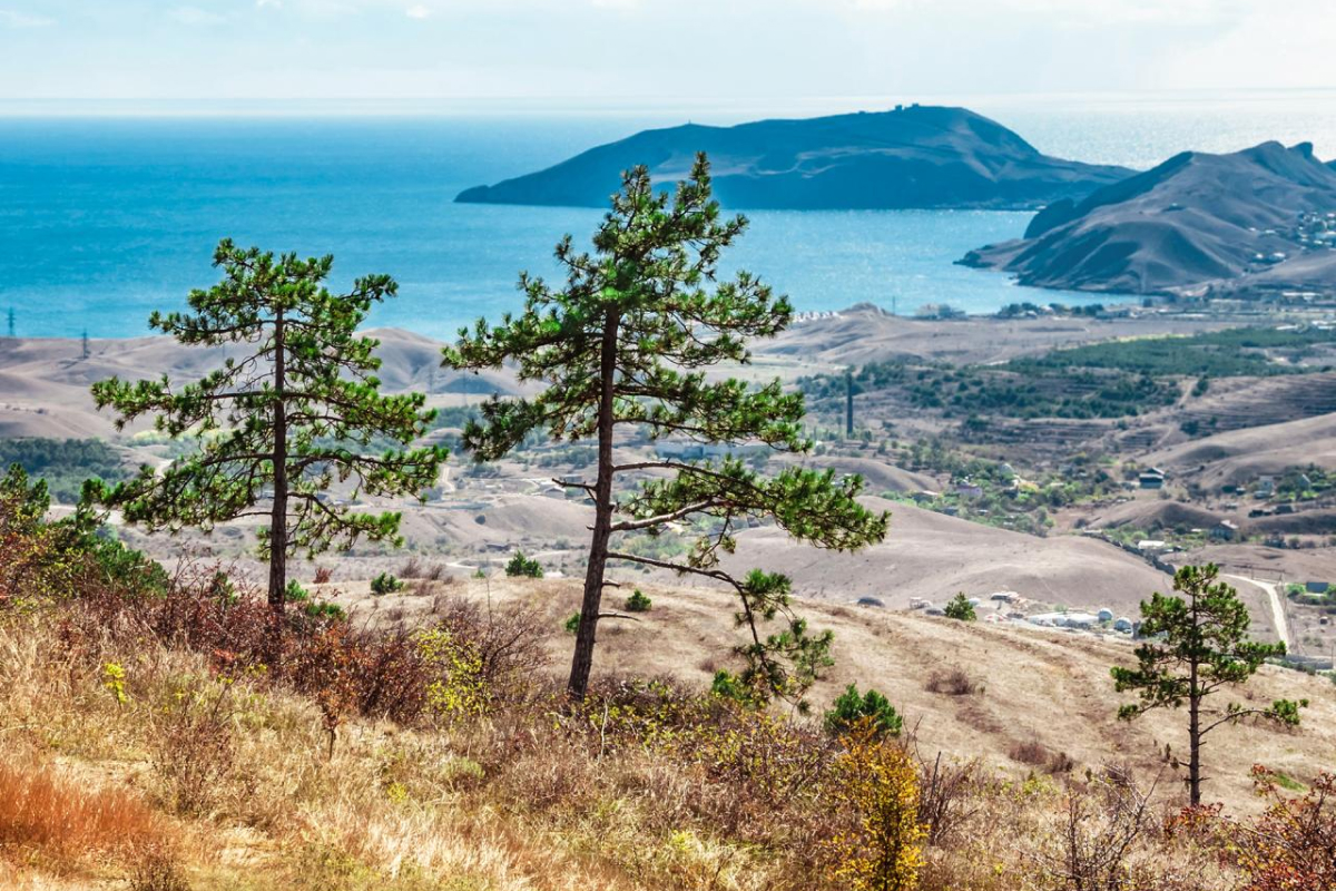 Гора Митридат
